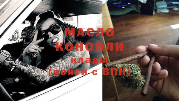 индика Гусь-Хрустальный