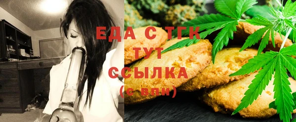 дживик Верхний Тагил