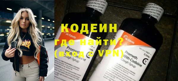 индика Гусь-Хрустальный